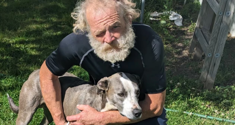 Good News: American has car accident – his dog saves him!