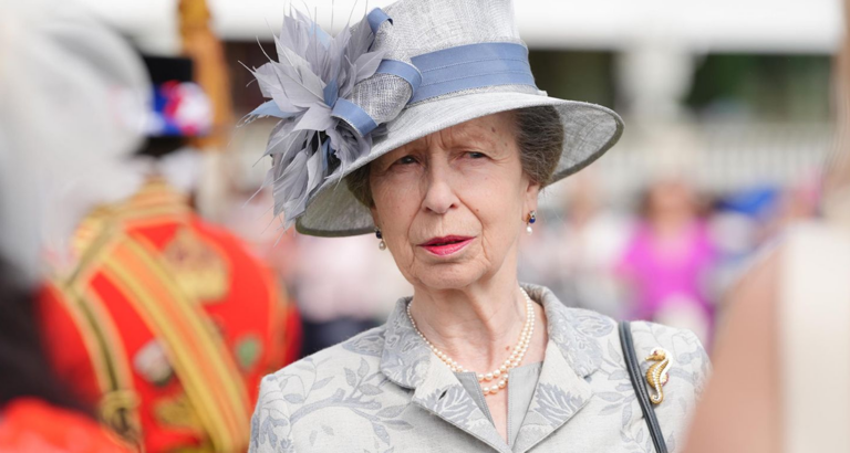 PRINCESS ANNE: Straightforward and Humorous! Ex-Butler Gives Intimate Insight