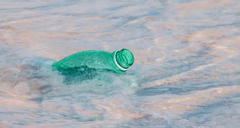 Good News: Researchers Discover Plastic-Eating Marine Fungus