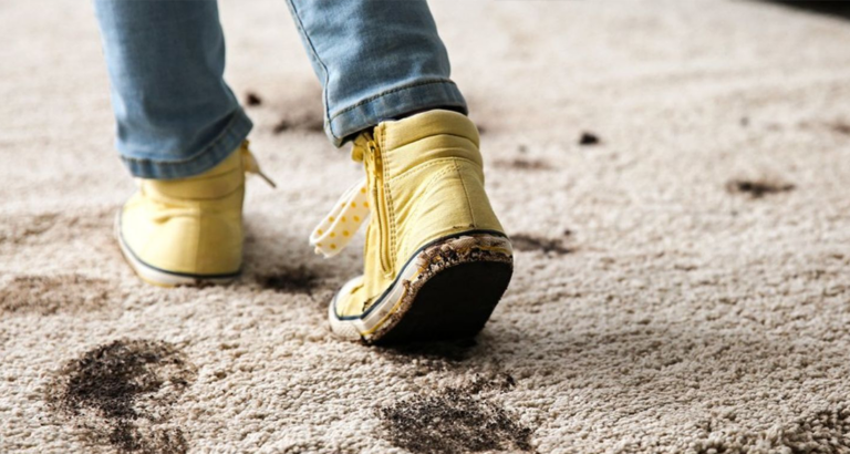 Shoes in the Apartment: Bacterial Alert Underfoot