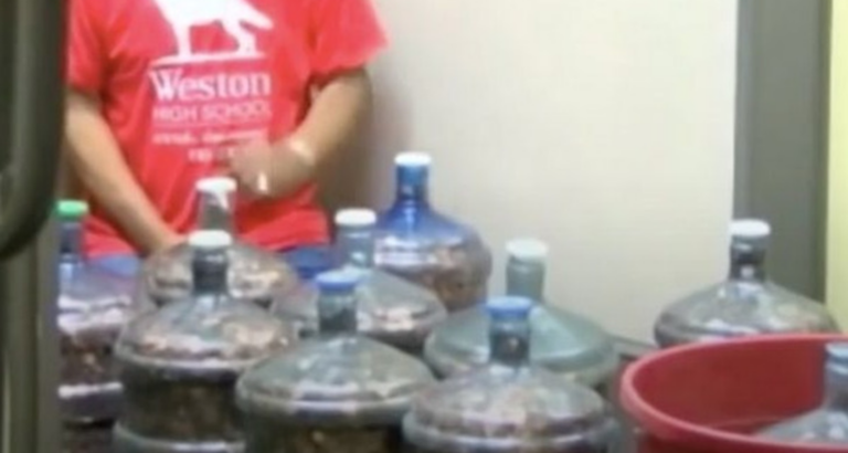 Man Saves Pennies For 45 Years and Rakes In a Fortune