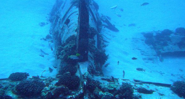 Mysterious plane found in the sea – Navy goes speechless when they look inside