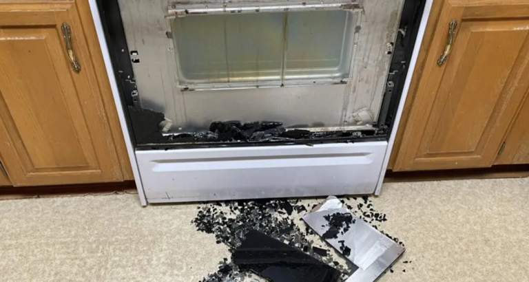 How to Prevent Oven Doors from Shattering