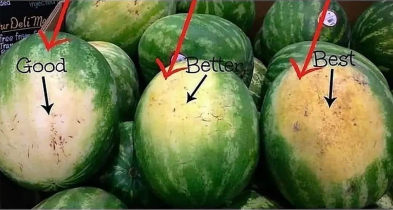 The Art of Selecting the Perfect Watermelon: A Guide to Sweetness and Ripeness