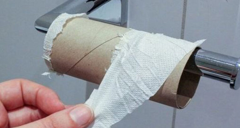 Is toilet paper coming to an end? It may soon take the place of our regular rolls.