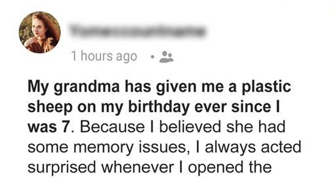 My Grandma Gave Me a Plastic Sheep on My Birthday for Years And I only Discovered their Secret Purpose after Her Death