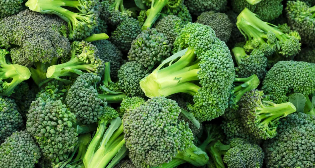 Recalled Broccoli Threatens 20 States as FDA Raises Risk to Highest Level