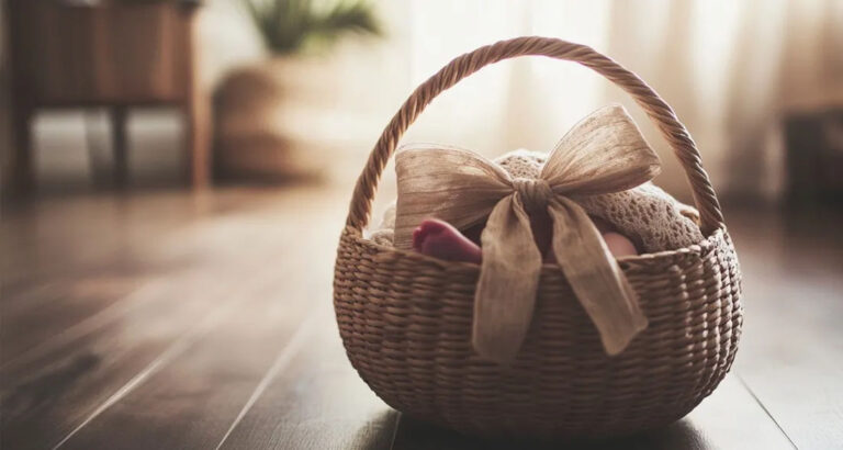 My SIL Demanded That I Give Her My Baby as a Birthday Gift, but She Got Exactly What She Deserved – Story of the Day