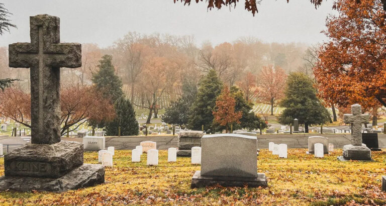 A Stranger Left Flowers at My Husband’s Grave Every Week — One Day I Found Out Who It Was, and I Was Left Speechless