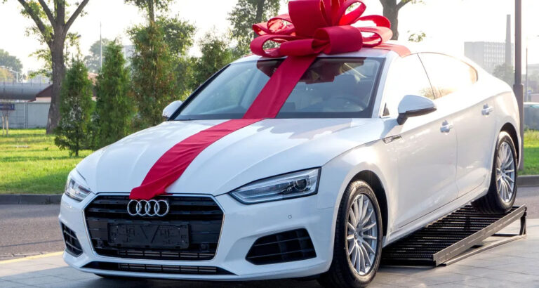 I Raised My Sister’s Son Like My Own for 15 Years — Then He Chose Her Over Me Because She Bought Him a Car