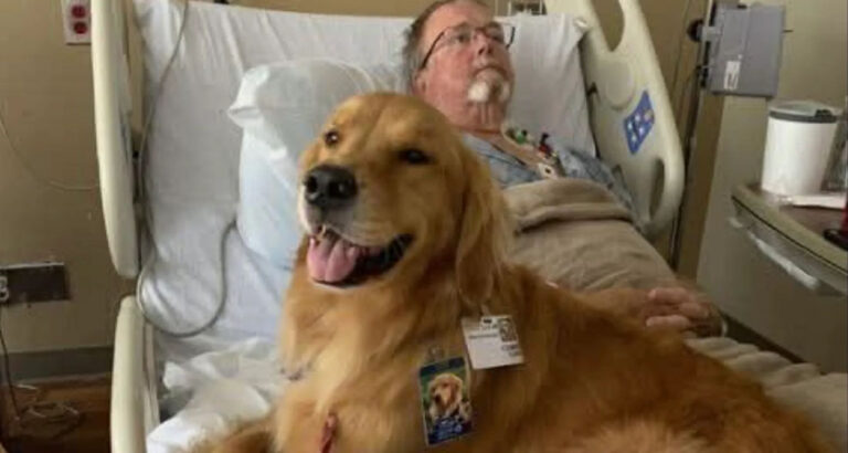THE THERAPY DOG JUMPED ON HIS BED—AND THAT’S WHEN HE FINALLY SPOKE