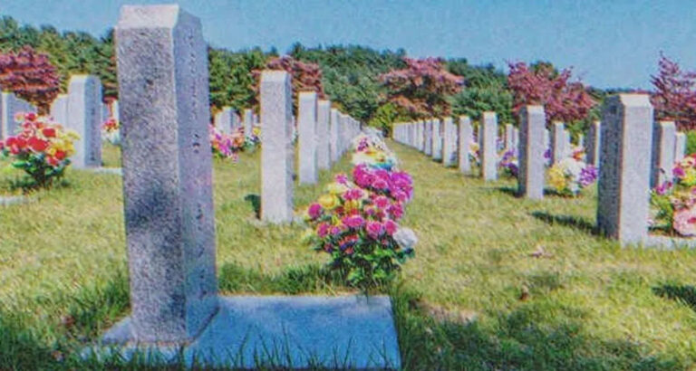 A Year after Son’s Death, Woman Sees Grave of Her Daughter-In-Law at the Cemetery – Story of the Day