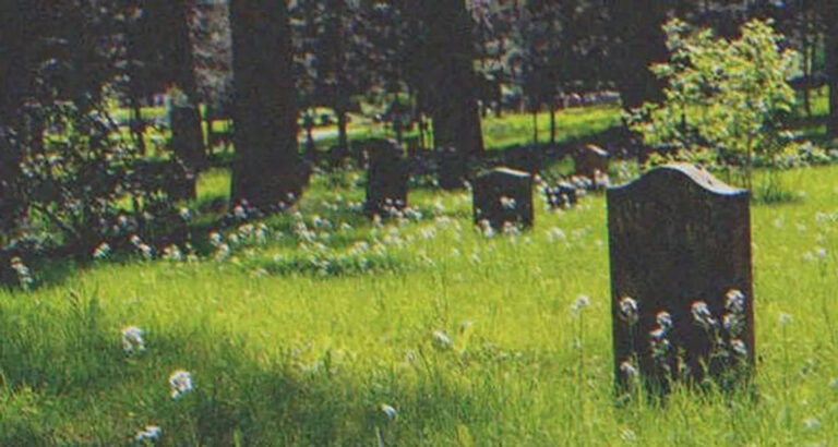 Man Stumbles upon a Headstone in the Woods and Sees His Childhood Photo on It – Story of the Day