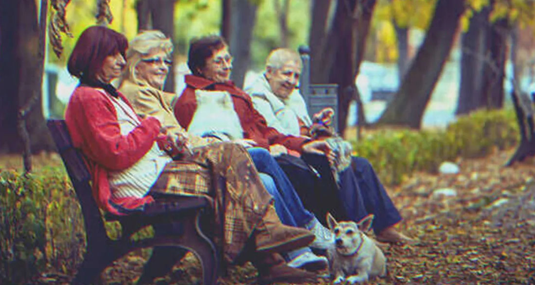 Poor Nurse Takes Care of 4 Elderly Sisters, Learns Their Will after They All Die – Story of the Day
