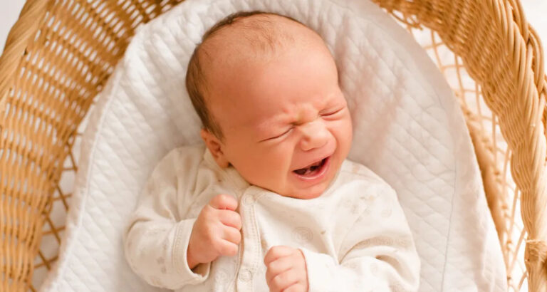 My Parents Tricked Me Into Giving Up My Baby—24 Years Later, They Sent Me a Letter With ‘Important News’