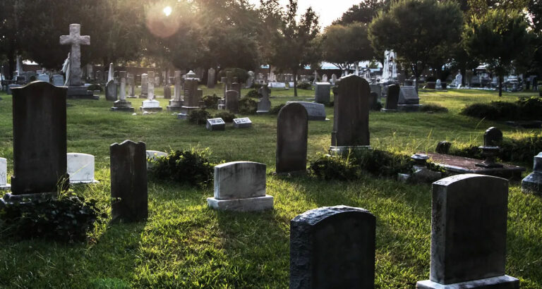 I Visited My Mom’s Grave – I Went Pale When I Saw What My Stepmom Was Doing There