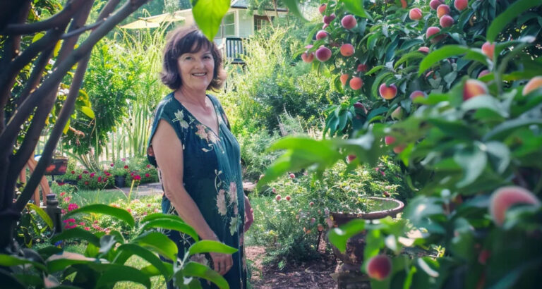 My Neighbor Destroyed the Peach Orchard I Inherited from My Grandparents – So I Made Her Regret It