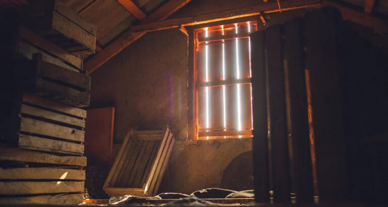 I Started Hearing Strange Noises from the Attic, So I Installed Hidden Cameras to Find Out What Was Going on — Story of the Day