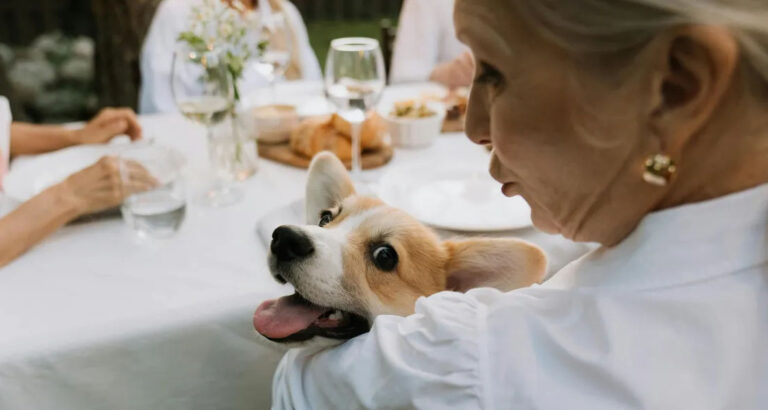 My Family Ignored Me at My Own Birthday Dinner, But They All Wanted a Piece of Me When They Heard the Will — Story of the Day