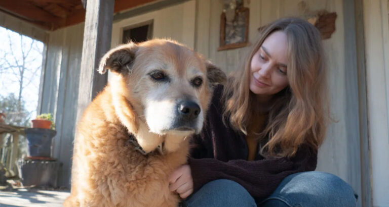 My Grandma Left $100,000 to My Greedy Cousin – All I Got Was Her Old Dog, Which Turned Out to Be Hiding a Secret