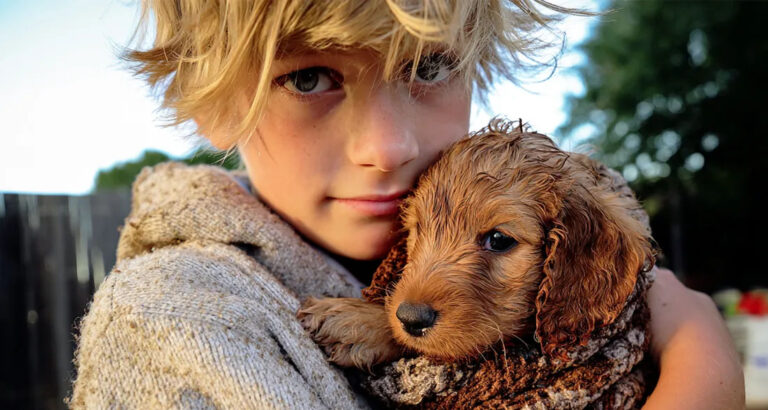 Our Neighbor Destroyed My Son’s Puppy’s House – Karma Was Faster than Me