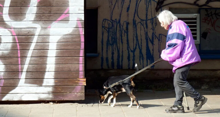 I Adopted a Girl with Down Syndrome That No One Wanted Right After I Saw 11 Rolls-Royces Parking in Front of My Porch