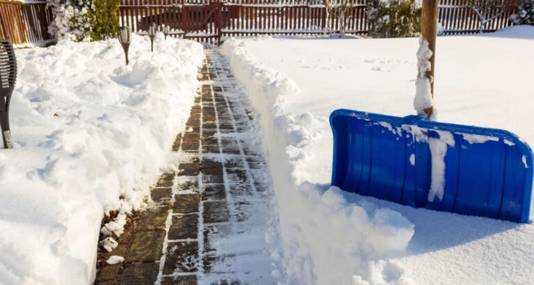 I Cleared Snow for My Elderly Neighbor Every Day – Then She Left a Note That Made My Blood Run Cold