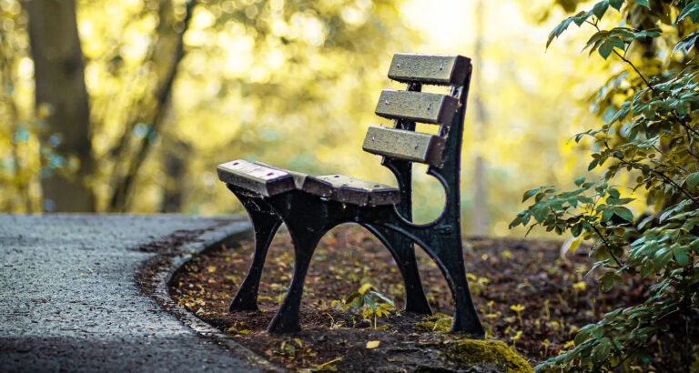 My Husband Dumped Me on the Roadside 30 Miles from Home – But an Older Woman on a Bench Helped Me Make Him Regret It