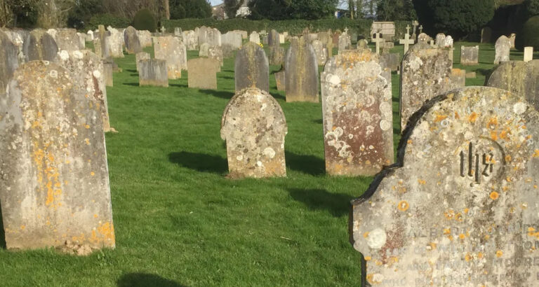 Every Day, I Ran from My Stepfather to My Mom’s Grave – Then I Met Her Carbon Copy There