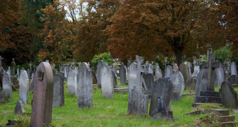 I Stumbled Upon a Headstone in the Woods and Saw My Childhood Photo on It – I Was Shocked When I Learned the Truth