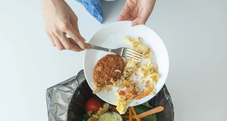 My MIL Kept ‘Accidentally’ Throwing Away the Food I Cooked – Until My Little Son Taught Her a Harsh Lesson