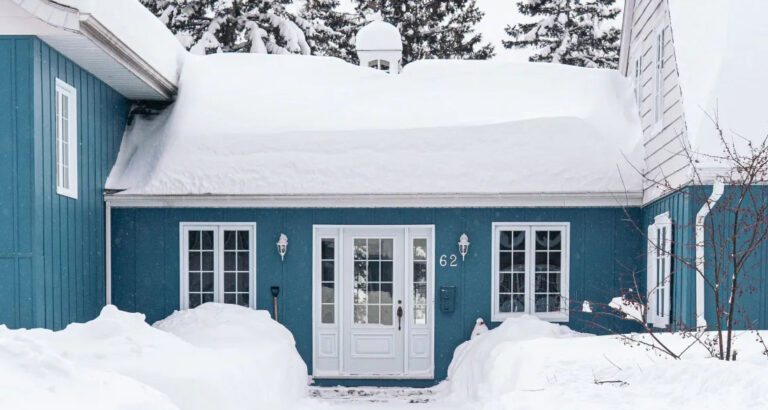 My Neighbor Turned My Garden Into Her Dumpster—so I Brought Her a ‘Gift’ She’ll Never Forget