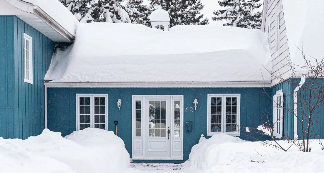 My Neighbor Turned My Garden Into Her Dumpster—so I Brought Her a ‘Gift’ She’ll Never Forget