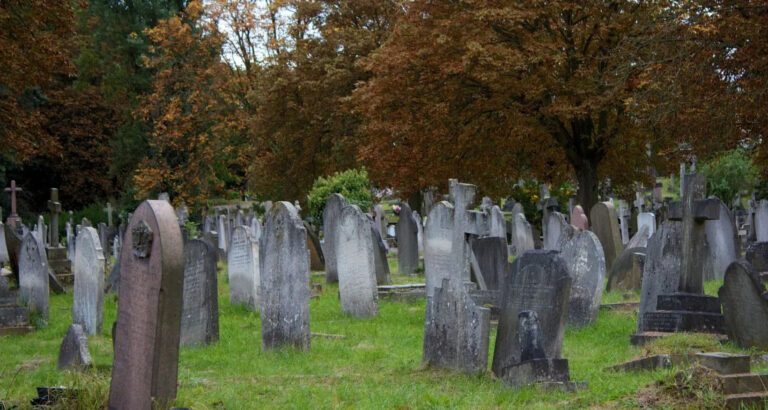 I Stumbled Upon a Headstone in the Woods and Saw My Childhood Photo on It – I Was Shocked When I Learned the Truth