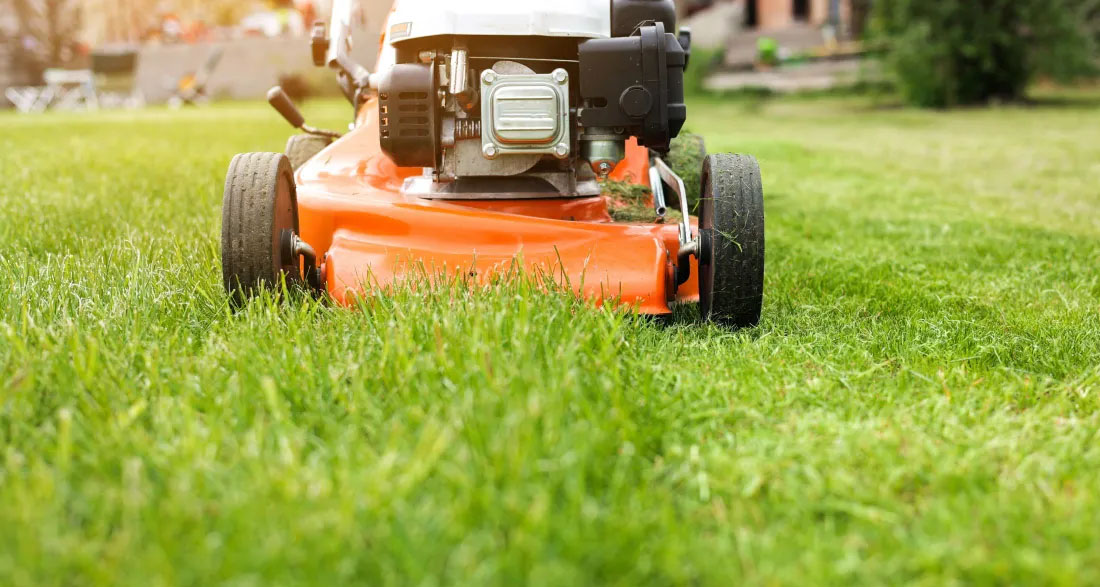 I Mowed the Lawn for the 82-Year-Old Widow Next Door – The Next Morning, a Sheriff Woke Me up with a Request That Made My Blood Run Cold