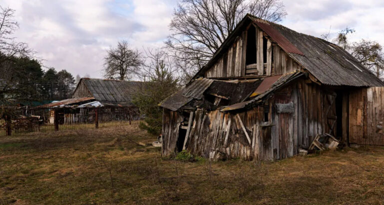 When My Father Split the Inheritance, My Brother Got Everything While I Got Only Grandpa’s Cabin – and a Secret He Took to the Grave